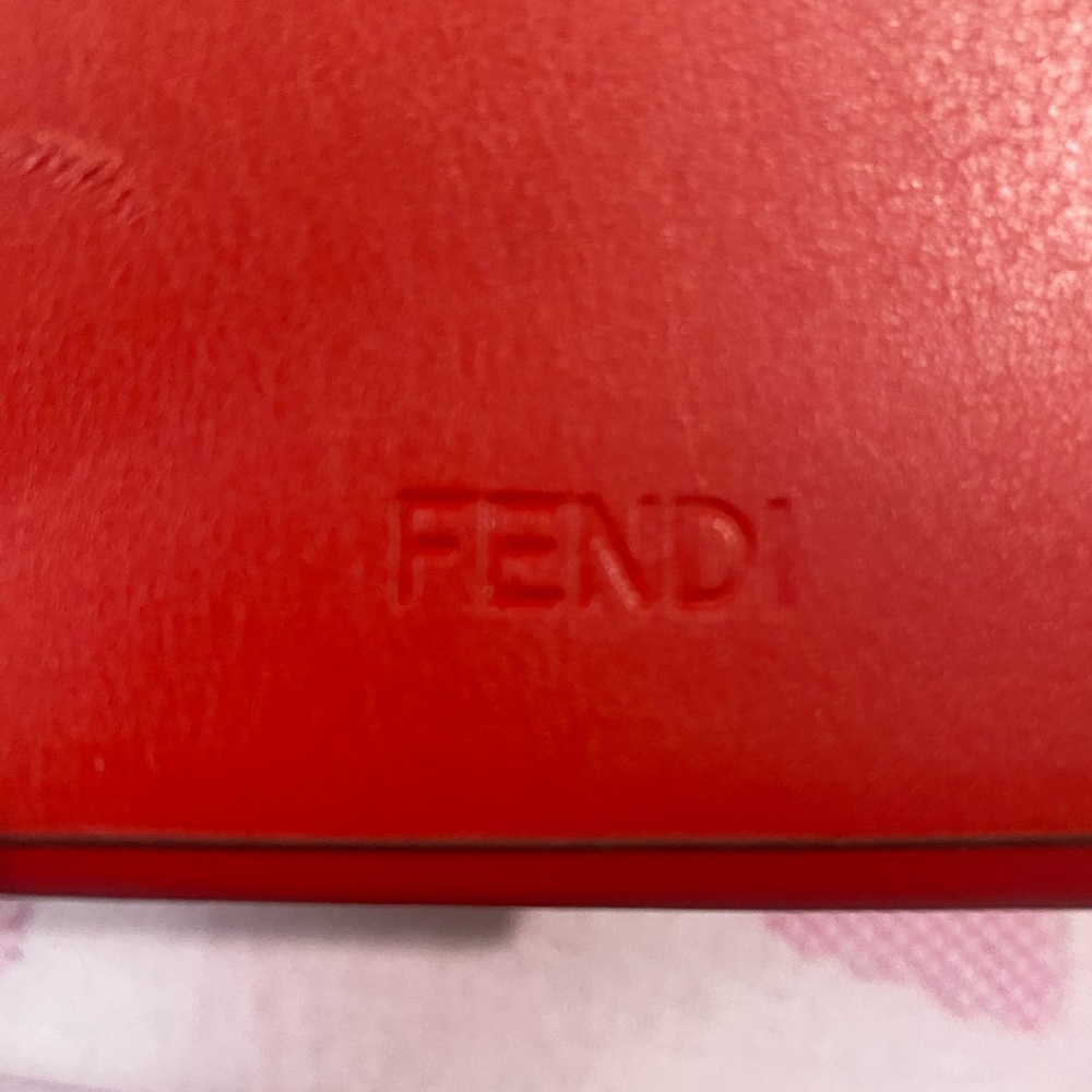 Fendi Eyeglass Case